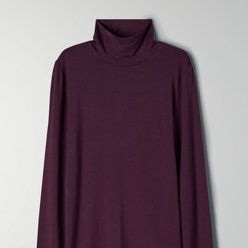 Aritzia Turtleneck